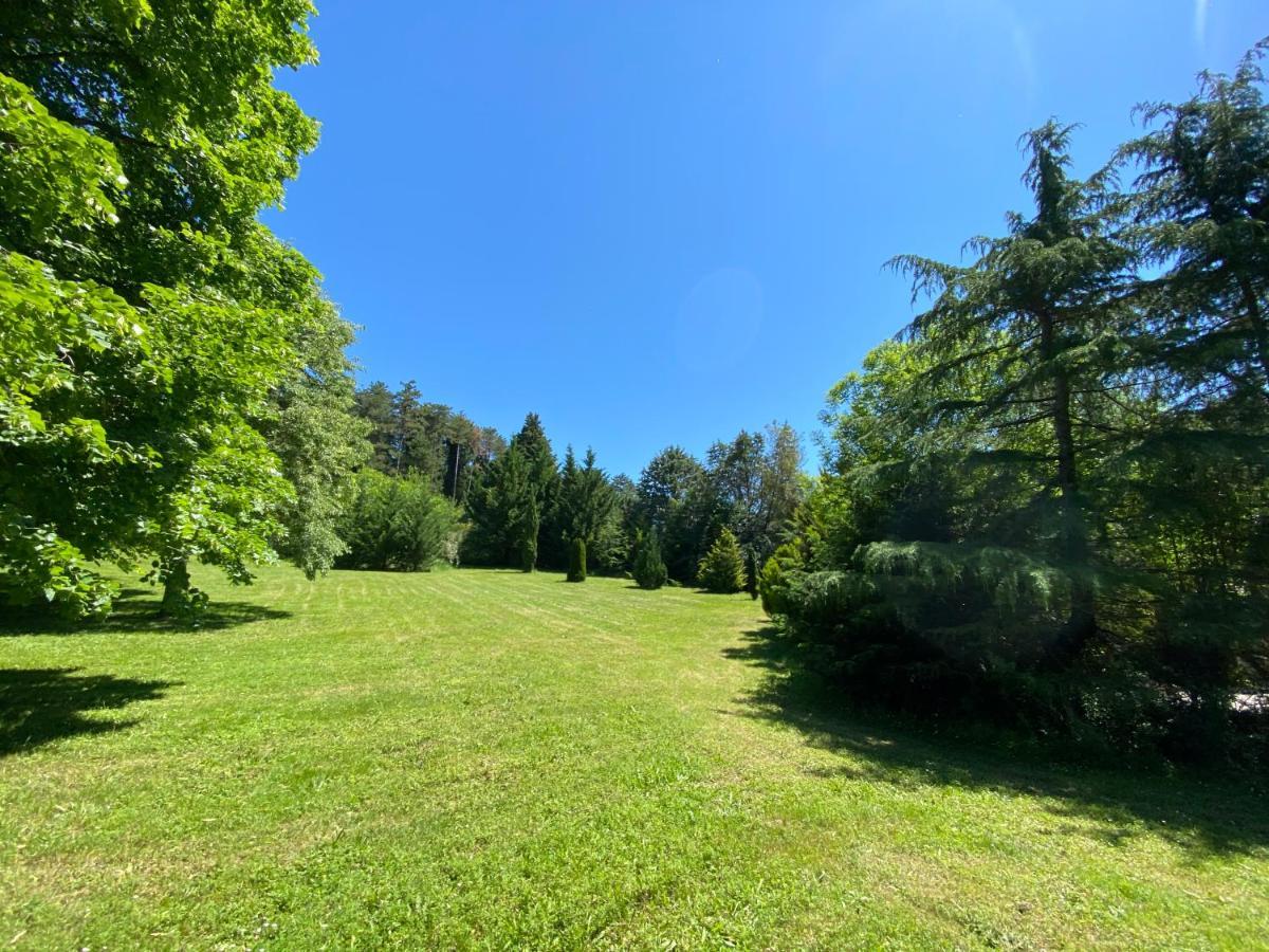 Manoir Et Appartements Avec Piscine Au Domaine De Bize Mirepoix Мирпоа Екстериор снимка